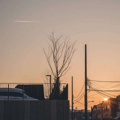 万博最新ManBetX网页版登录截图